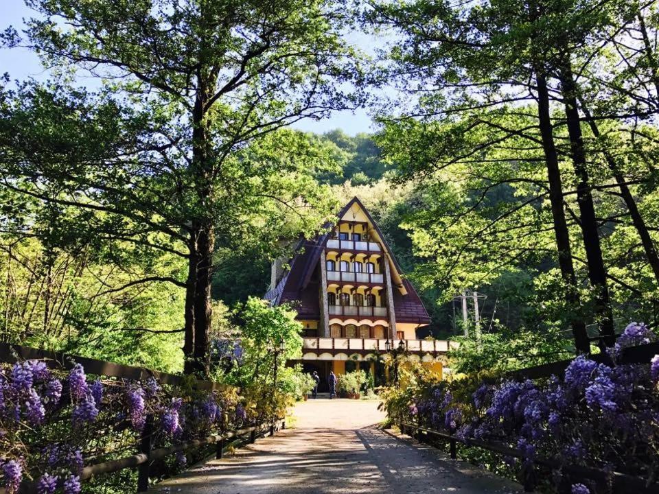 Pension Casa Vanatorilor Băile Olăneşti Exterior foto