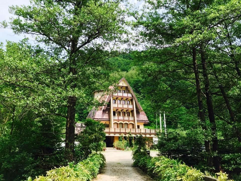 Pension Casa Vanatorilor Băile Olăneşti Exterior foto