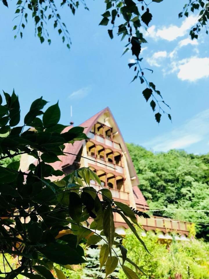 Pension Casa Vanatorilor Băile Olăneşti Exterior foto