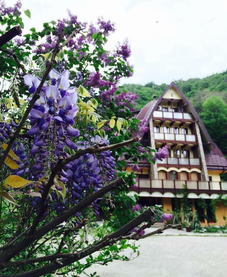 Pension Casa Vanatorilor Băile Olăneşti Exterior foto