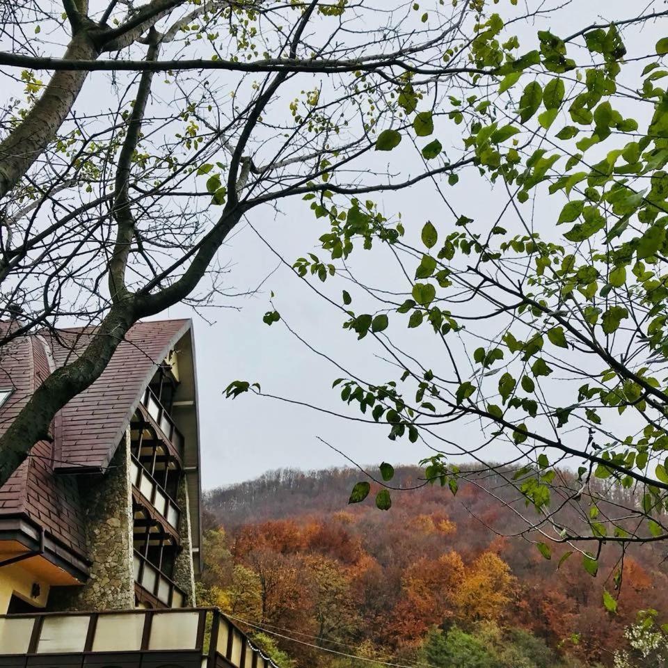 Pension Casa Vanatorilor Băile Olăneşti Exterior foto
