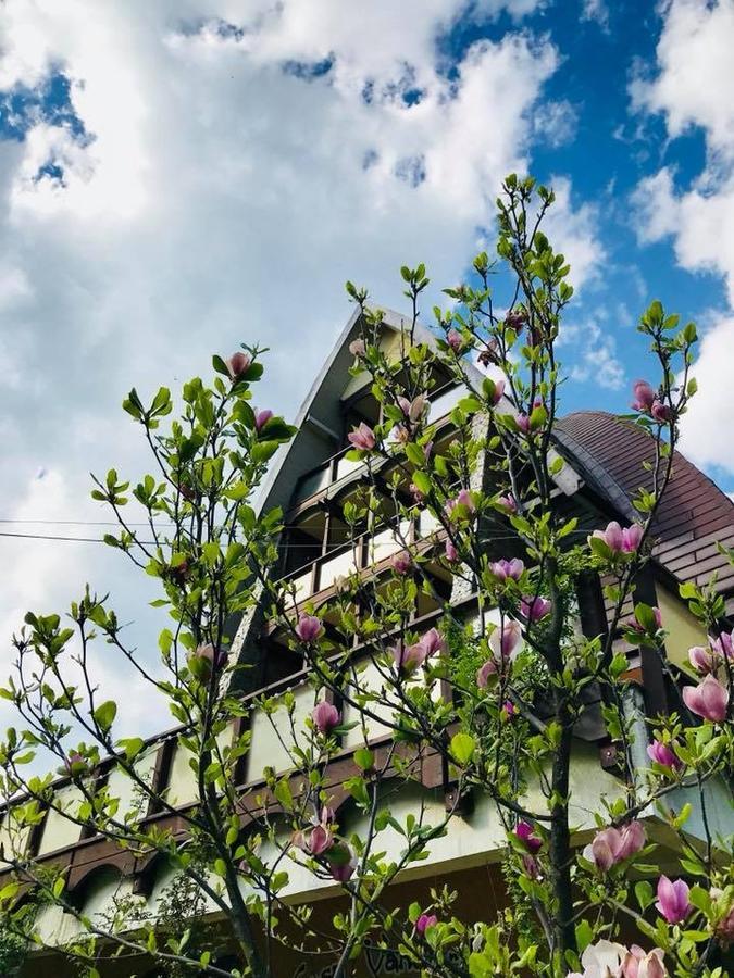 Pension Casa Vanatorilor Băile Olăneşti Exterior foto